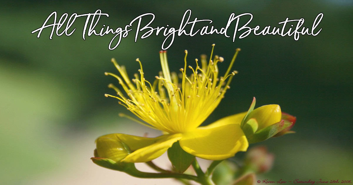 All Things Bright and Beautiful Lyrics, Hymn Meaning and